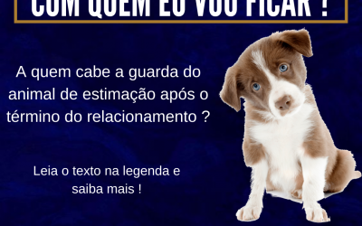 A QUEM CABE A GUARDA DO ANIMAL DE ESTIMAÇÃO APÓS O TÉRMINO DO RELACIONAMENTO?