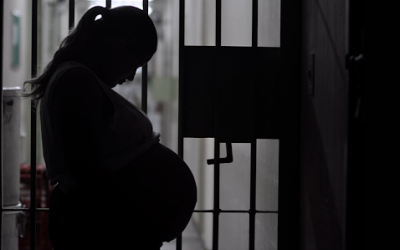 HABEAS CORPUS: SUPREMO TRIBUNAL FEDERAL CONCEDE CUMPRIMENTO DE PENA EM REGIME ABERTO PARA MULHER PRESTES A TER FILHO